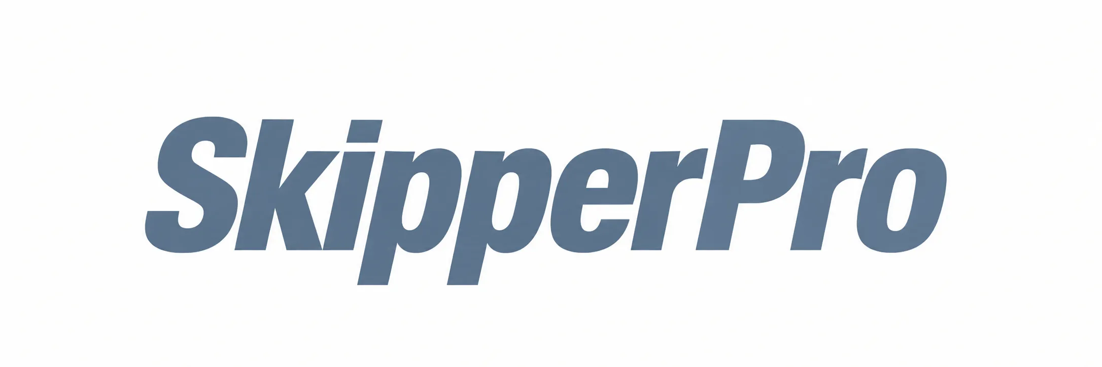 SkipperPro inner screen mockup detail